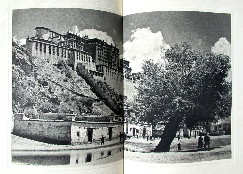 Seven Years in Tibet